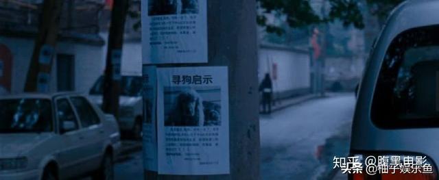 狗狗充满了我的子宫电影:狗十三这部电影是很多家庭的表现，你们曾遭遇过什么呢？