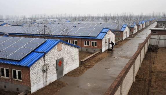 口蹄疫的治疗:口蹄疫的治疗方法 7天小猪得了口蹄疫怎么治，发热40.5度？