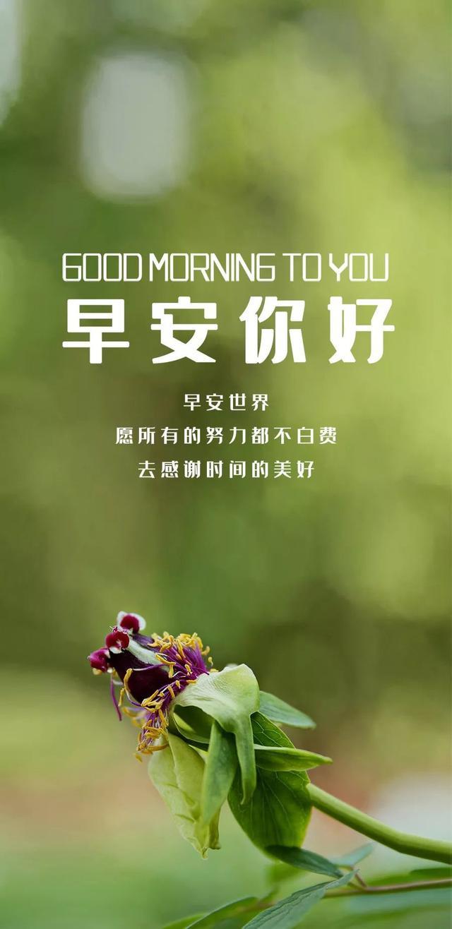 新的一周早安阳光语录：生活不会惯着你，想要不被抛弃必须自己争气