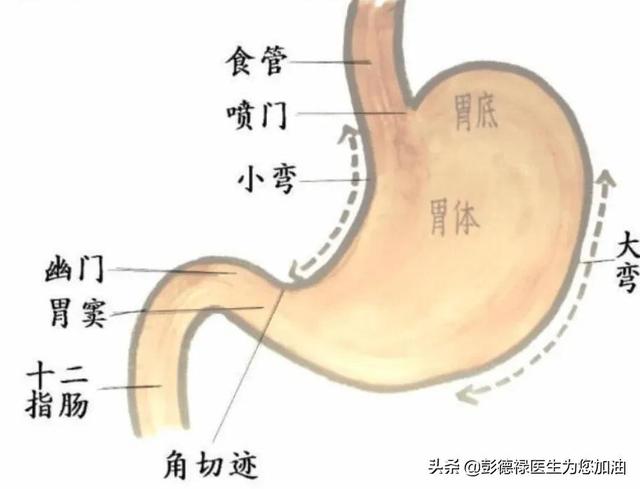 复方消化酶胶囊是胃动力药吗:经常性打嗝的原因是什么？偶尔还反流，什么办？