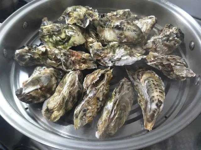 海蛎子的家常做法,海蛎有几种做法？怎么做好吃？