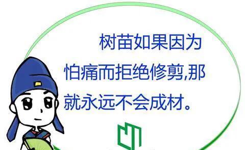 老师语言霸凌小学生 北京区教委回应，教师“体罚”不止的原因是什么？