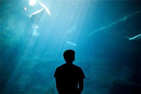 头条问答 - 有的男人把自己喜欢的文章等在第一时间