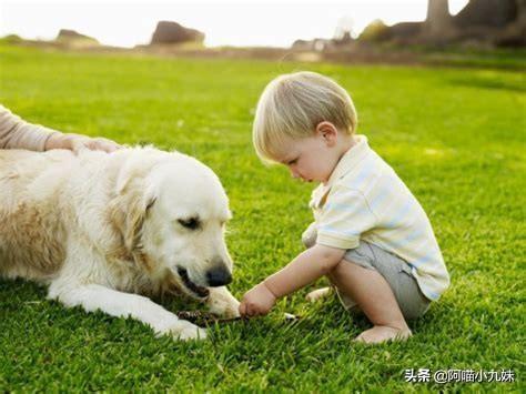 宠物安全隐患:宠物陪伴小孩子长大，对孩子的性格有什么影响？