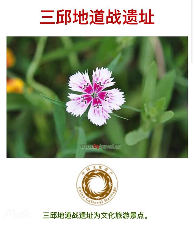 藁城区怎么读:藁这个字怎么读？啥意思？能介绍下藁城吗？