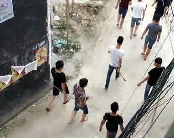 大狼狗打架:哪种狼狗的战斗力最为强悍？ 梦见和大狼狗打架
