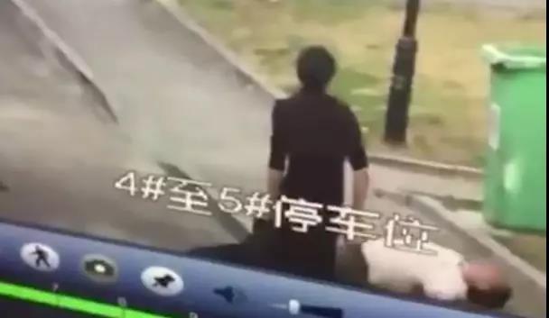 哈尔滨禁狗令 结果:哈尔滨中央大街禁止遛狗，对此你怎么看？