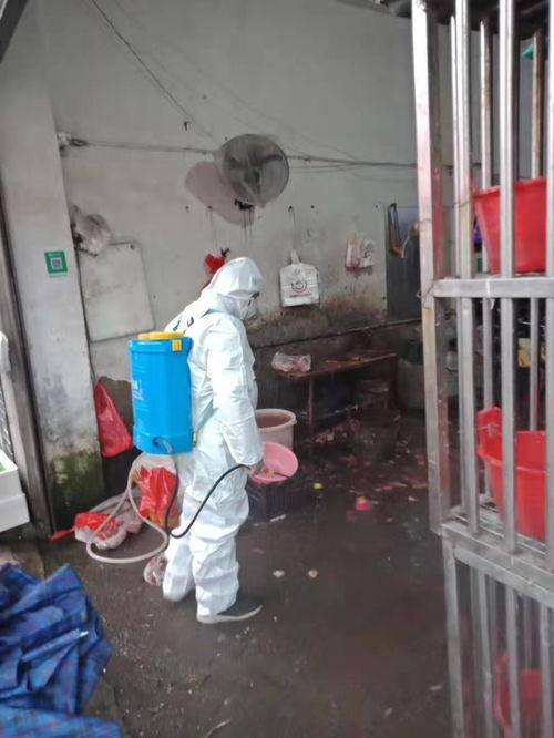环境消毒:农村每天喷洒消毒水一月多，对环境有影响吗？