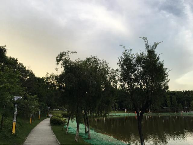 好动的河马歌谱:孩子进入可怕的两岁，不听家长的话，该怎么办？