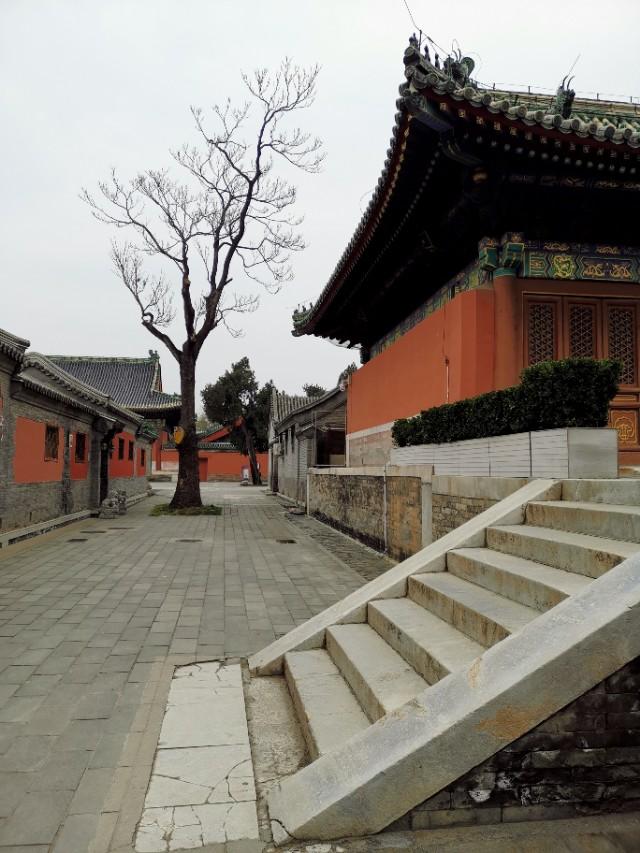 老人去世哭不出来怎么办（亲人去世不会哭丧）