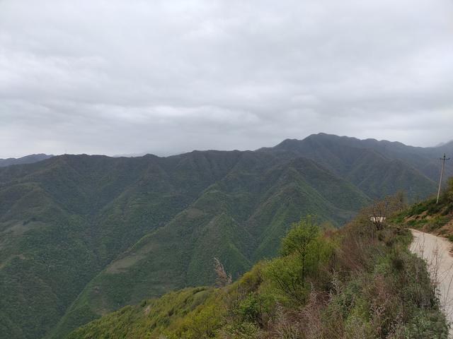 新藤惠美:地里长了许多葛根藤，怎么清除？