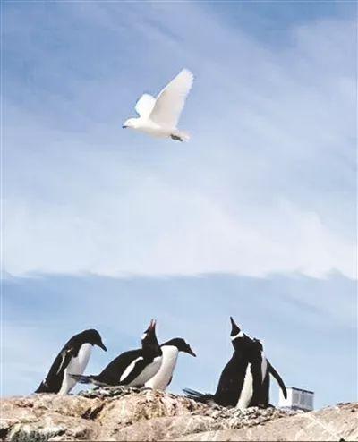 头条问答 - 做事追求利益无可厚非,但如何不让人觉得唯利是图,显得