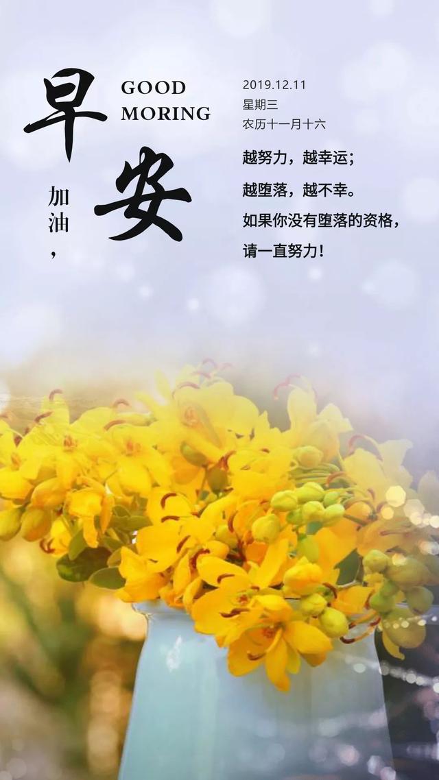 12月11早安图片日签：为梦而年轻，为梦而坚定
