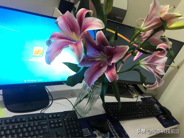想学计算机0基础可以吗？