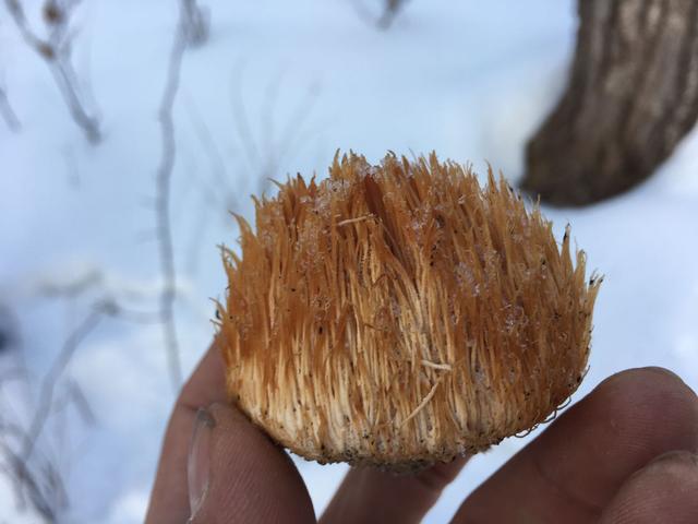 微博里拍农村短视频怎么赚钱？
