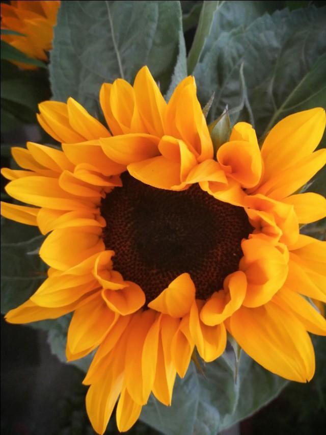 怎样做跨境电商视频（跨境电商专业拍摄义乌微距创意传媒有限公司怎么样）