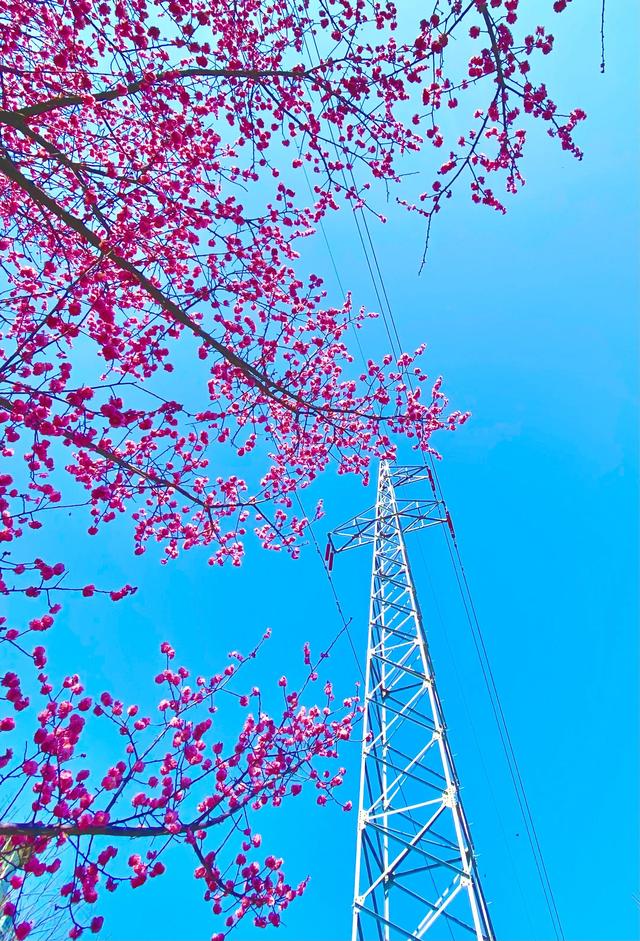 谁有仰拍天空好看的照片分享给大家