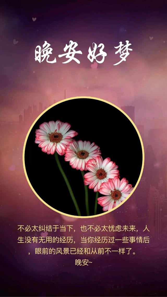 晚安心语181224：愿我一生欢喜，不为世俗所及