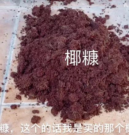 多肉放珍珠岩,还放其它的吗？