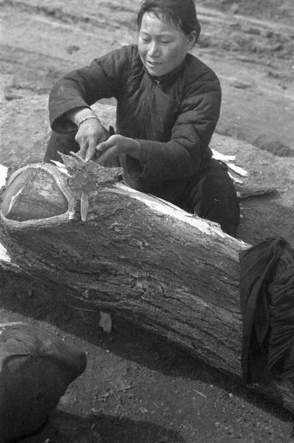 古代闹饥荒时老百姓宁啃树皮吃观音土为何不吃河里的鱼虾