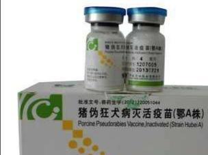 求琴仙的小宠物饲养日记:想回老家养鸡，农村养殖业创业应该如何开始？