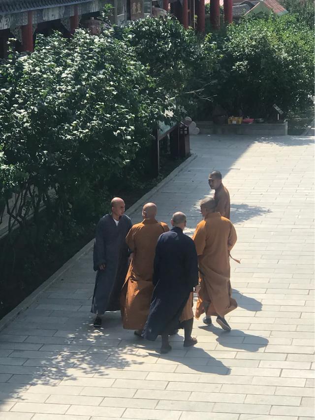 身上带仙气的人的特点:你见过最有仙气的女演员是谁