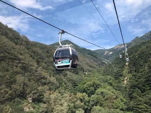 李娅 过山风:阴阳师中茨木，云外镜，山风，御怨般若养哪个好？