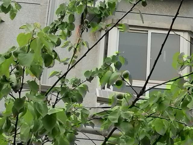 屠洪刚老婆:你们是如何看待大6岁的姐弟恋的
