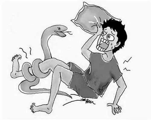东北黄花松蛇有多长:有没有身长达到10米的蛇？