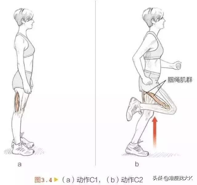 开合跳可以作为跑步前的热身吗？ 跑步的正确方法与技巧热身