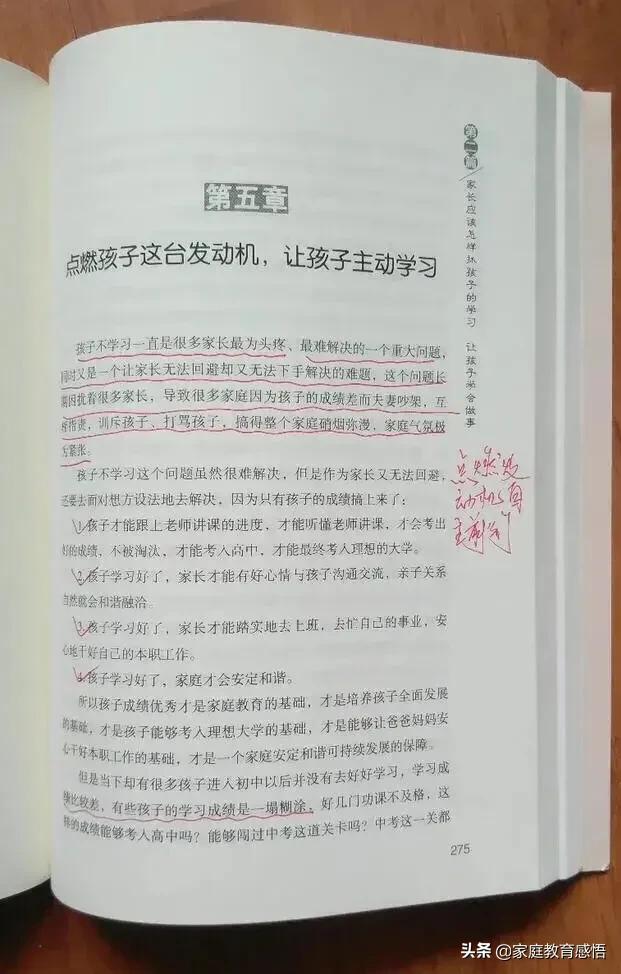 宠物志愿百度网盘:今年可能会有一半初中生进不了高中，他们该怎么办？