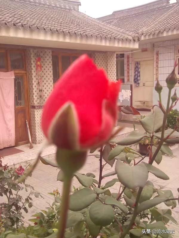 如果有五十万，你会选择县城买房？还是农村盖房？插图3