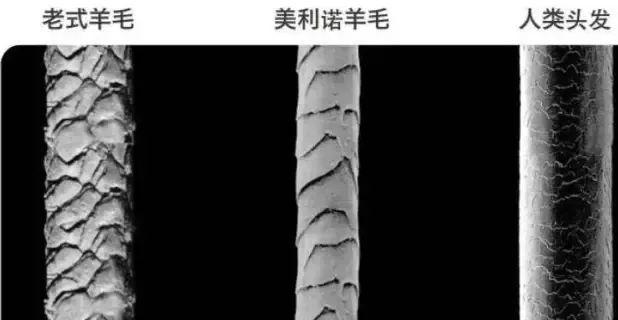 保暖内衣什么牌子好，保暖内衣哪个牌子的保暖效果好