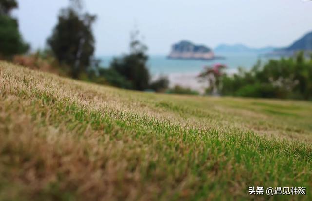 平阳南麂列岛灵异事件:平阳是哪里？为什么说虎落平阳被犬欺？