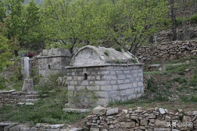 坟头上长什么草出大官,张良墓今在何处？求高人指点？