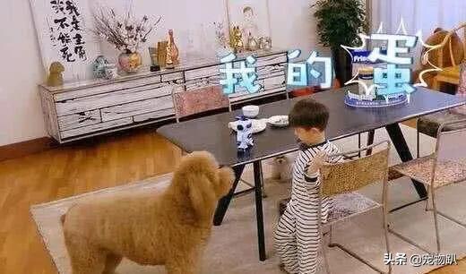 金希澈收养雪莉的猫:金希澈与momo恋爱了，你更希望爱豆对象是圈内人还是圈外人？