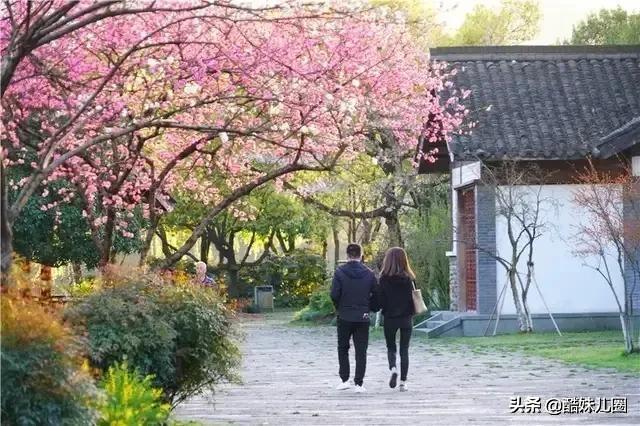 今年过年旅游业惨了（旅游业还有希望吗）