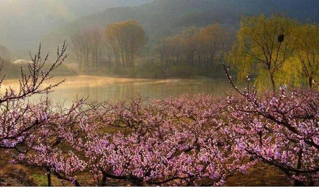 山海经恐怖的地方，《桃花源记》有哪些细思极恐的地方