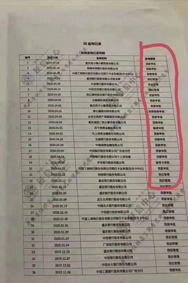 中国狸花猫评判标准:什么样的征信属于征信黑？