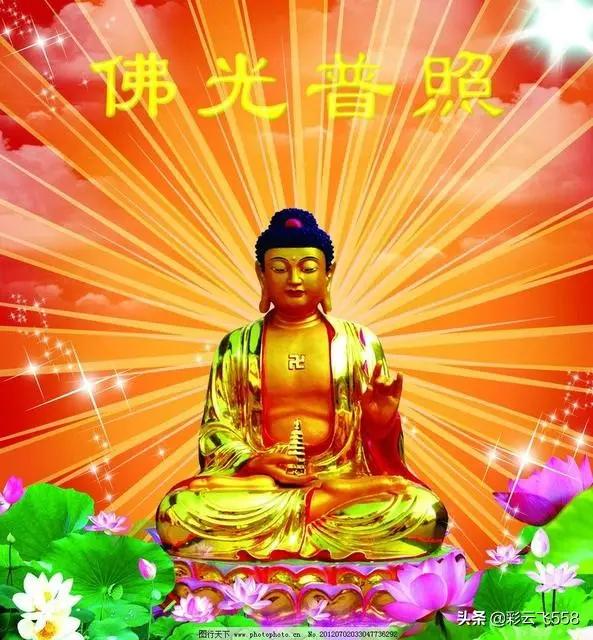 2003年非典期间,钟南山院士做出了哪些贡献而一举成名？请举例说明？