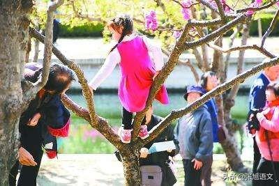 李双江之子李贺:现代少年好像对一切事缺乏敬畏之心，是父母教育哪里出了问题？