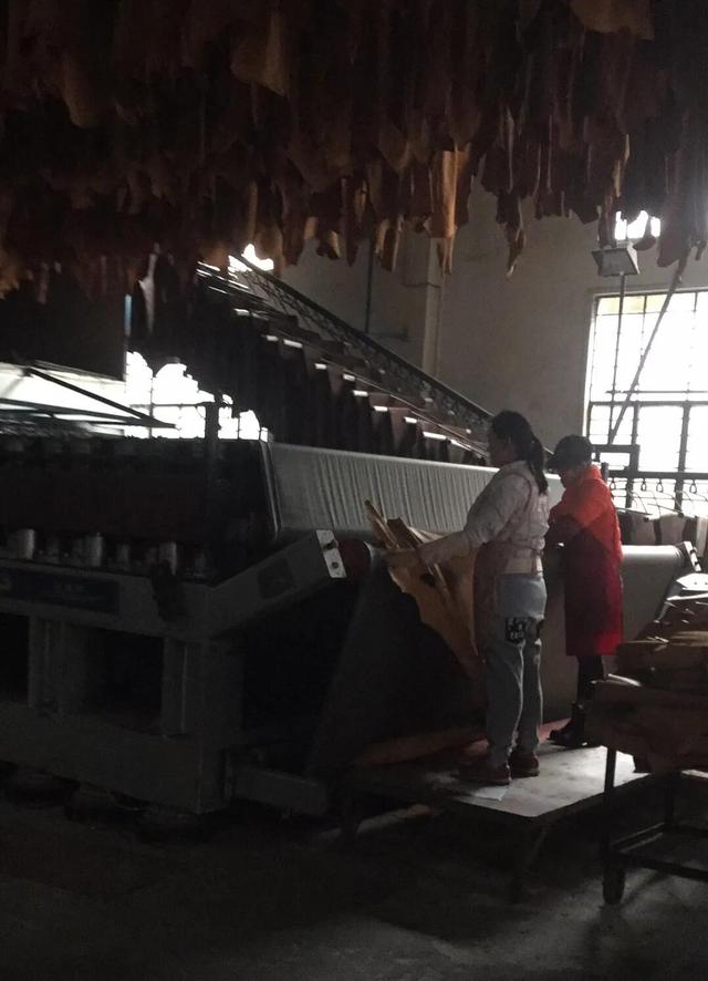 玉石真皮假皮怎么区分,在购买真皮皮衣时，如何识别皮衣真伪？