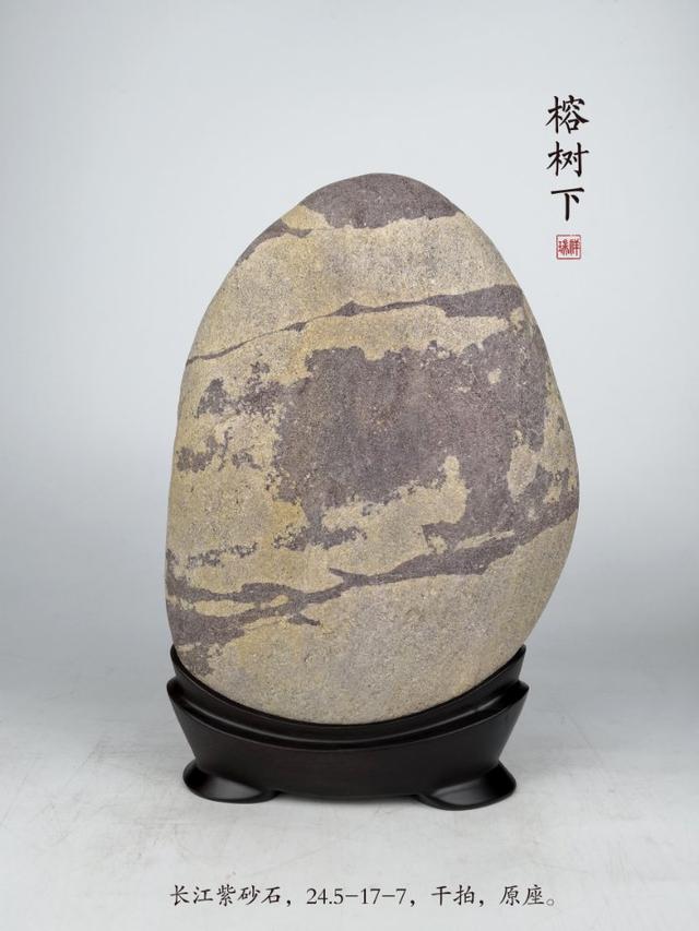 极品藏獒图片欣赏:你见过的世界经典奇石中，精品、极品、神品是什么样子的？