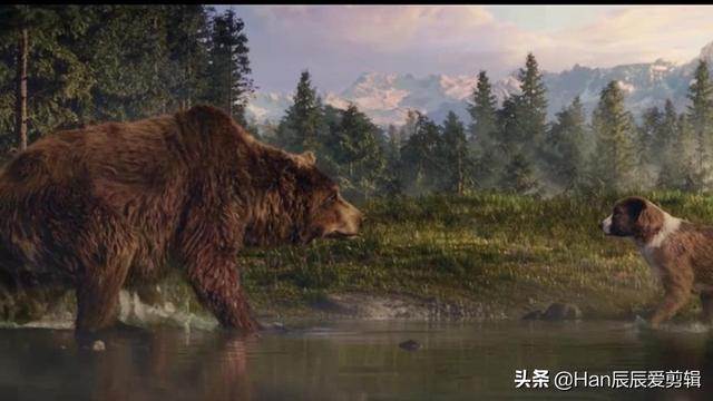 金毛拐卖牧羊犬电影:《野性的呼唤》主角老头死了吗？你怎么评价这部电影？