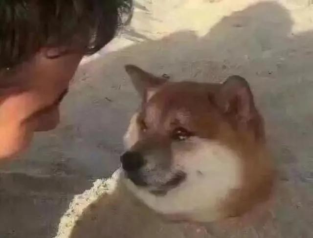 为什么现在王者荣耀代练的价格被压的这么低？