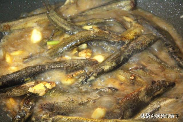 泥鳅能补肾吗，“泥鳅”=“平民海参”真的有营养吗那么脏能吃吗
