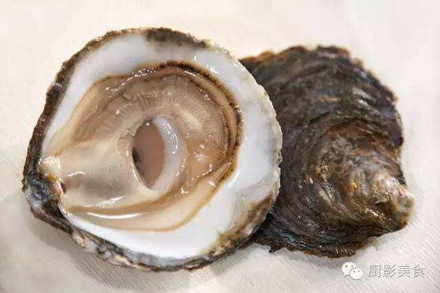 深海黑鳘鱼多少钱一斤:金钱鳘鱼胶好吗？市场上的金钱鳘鱼胶一斤多少钱呢？