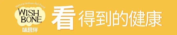 宠物进口:宠粮进口的有哪些优势吗？