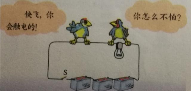 燕子美人会跳缸吗:小燕子、麻雀站在高压电线上，怎么不会触电？
