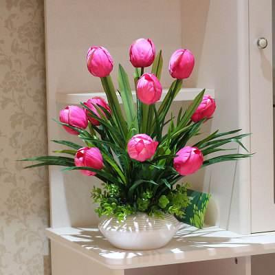 3种花是大忌千万不能养,三角梅养了两年，一直都不开花是什么原因？